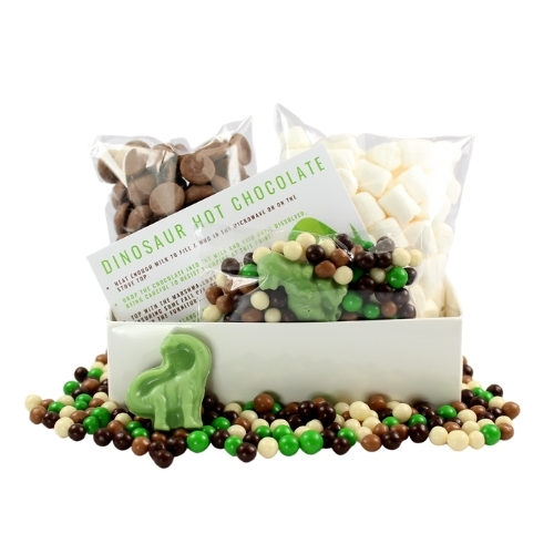 Dinosaur Hot Chocolate Kit